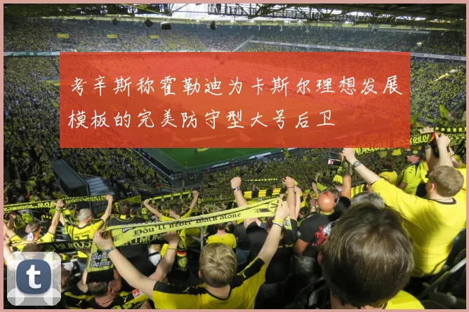 考辛斯称霍勒迪为卡斯尔理想发展模板的完美防守型大号后卫
